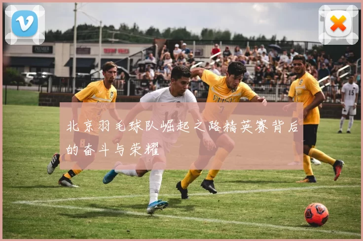 北京羽毛球队崛起之路精英赛背后的奋斗与荣耀