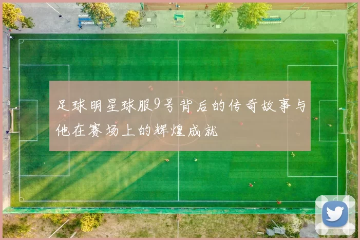 足球明星球服9号背后的传奇故事与他在赛场上的辉煌成就