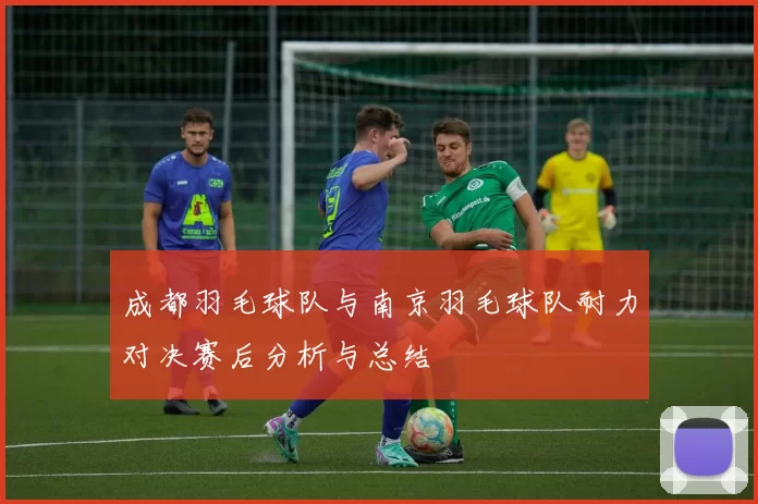 成都羽毛球队与南京羽毛球队耐力对决赛后分析与总结