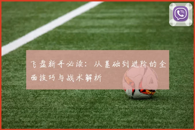 飞盘新手必读：从基础到进阶的全面技巧与战术解析