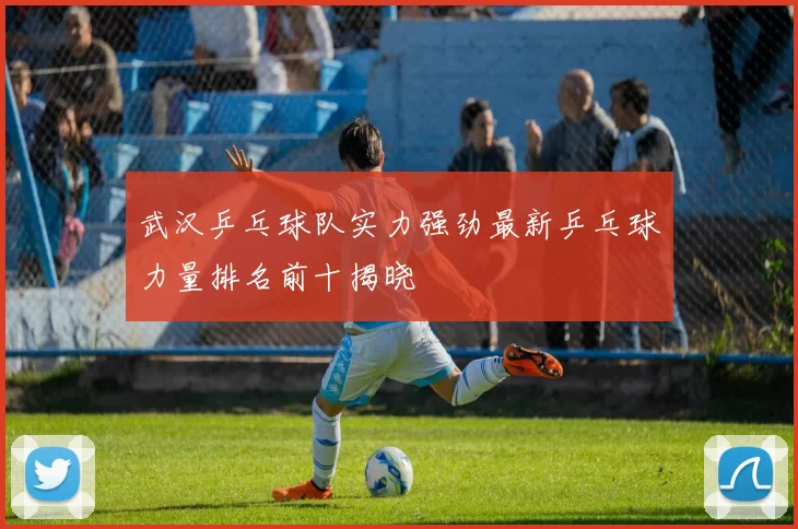 武汉乒乓球队实力强劲最新乒乓球力量排名前十揭晓