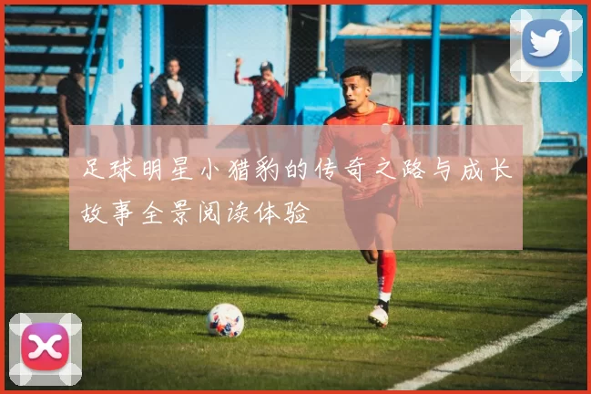 足球明星小猎豹的传奇之路与成长故事全景阅读体验