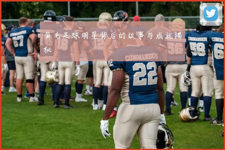 黄毛足球明星背后的故事与成就揭秘