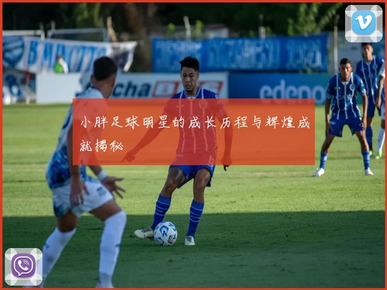 小胖足球明星的成长历程与辉煌成就揭秘