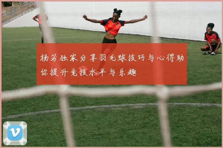 杨芳独家分享羽毛球技巧与心得助你提升竞技水平与乐趣