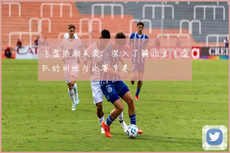 飞盘热潮来袭：深入了解北京飞盘队的训练与比赛节奏
