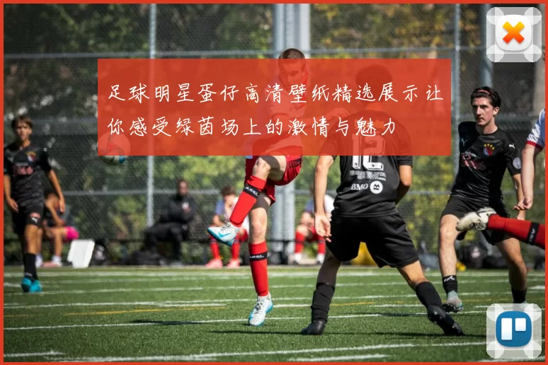 足球明星蛋仔高清壁纸精选展示让你感受绿茵场上的激情与魅力