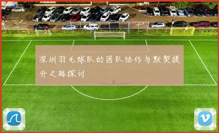 深圳羽毛球队的团队协作与默契提升之路探讨