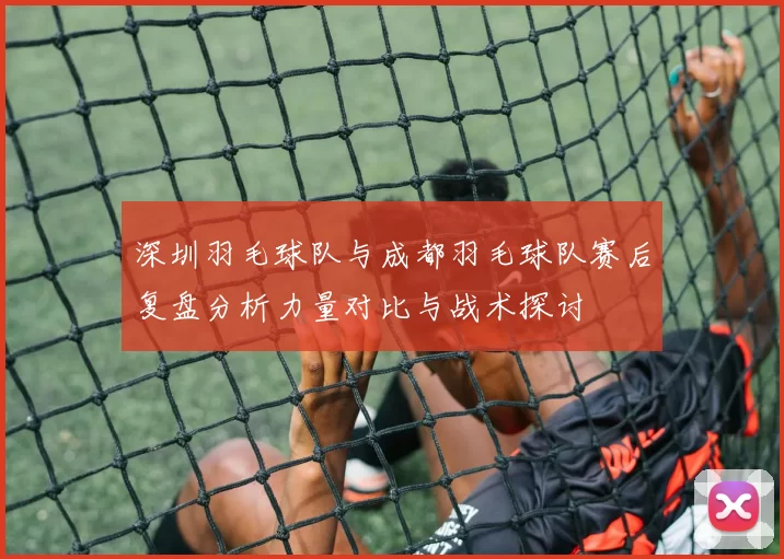 深圳羽毛球队与成都羽毛球队赛后复盘分析力量对比与战术探讨