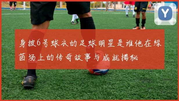 身披6号球衣的足球明星是谁他在绿茵场上的传奇故事与成就揭秘