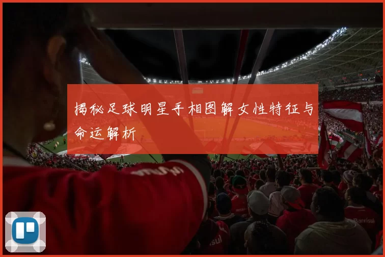 揭秘足球明星手相图解女性特征与命运解析