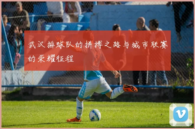 武汉排球队的拼搏之路与城市联赛的荣耀征程